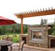 Empire Carol Rose Coastal 36" Stainless Steel Intermittent Pilot Control, Propane Gas Traditional Premium Outdoor Fireplace Empire Comfort Systems