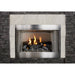 Empire Carol Rose Coastal 36" Stainless Steel Millivolt Control, Natural Gas Traditional Premium Outdoor Fireplace Empire Comfort Systems