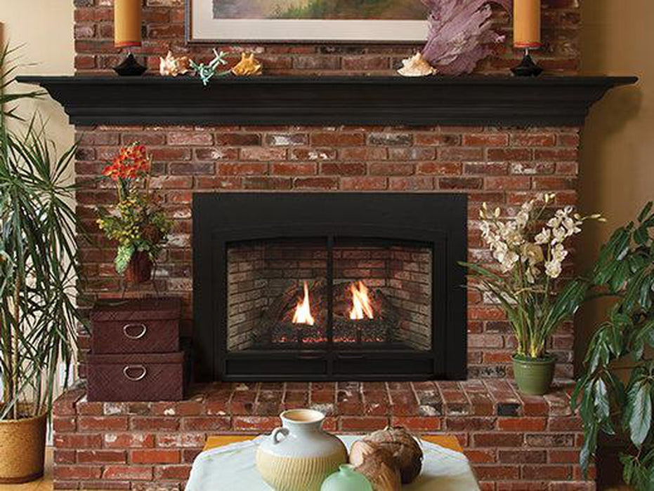 Empire Innsbrook 28" Small Direct Vent Clean Face Intermittent Pilot Control, Natural Gas Traditional Fireplace Insert