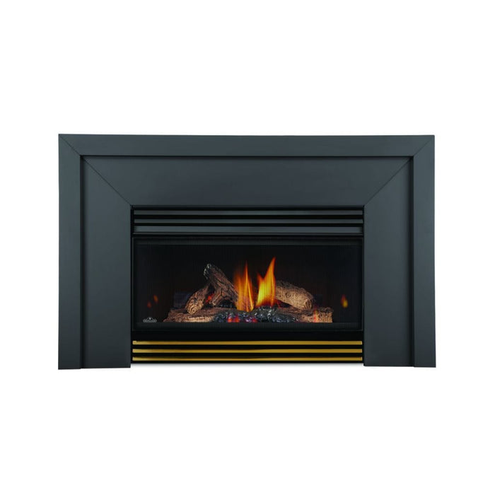 Napoleon 25" Roxbury 3600 Direct Vent Gas Fireplace Insert