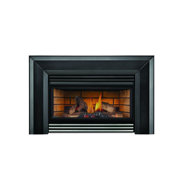 Napoleon 25" Roxbury 3600 Direct Vent Gas Fireplace Insert