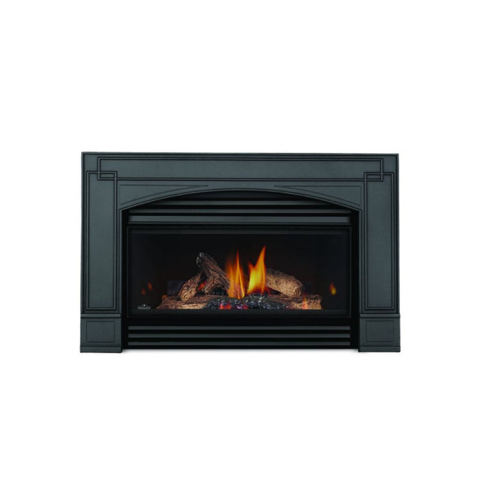 Napoleon 25" Roxbury 3600 Direct Vent Gas Fireplace Insert