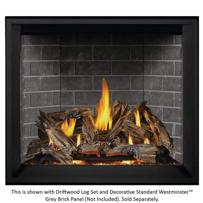 Napoleon 45" Elevation X Series 42 Direct Vent Gas Fireplace