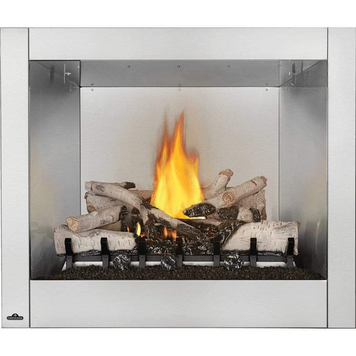 Napoleon Riverside 36 Clean Face Outdoor Gas Fireplace