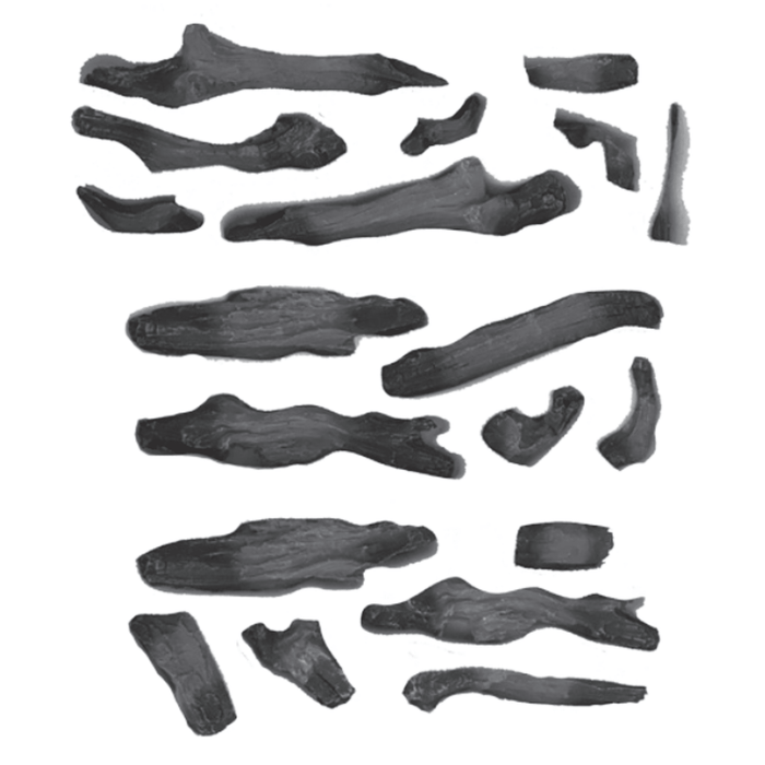 SimpliFire Log Assembly for Scion Series