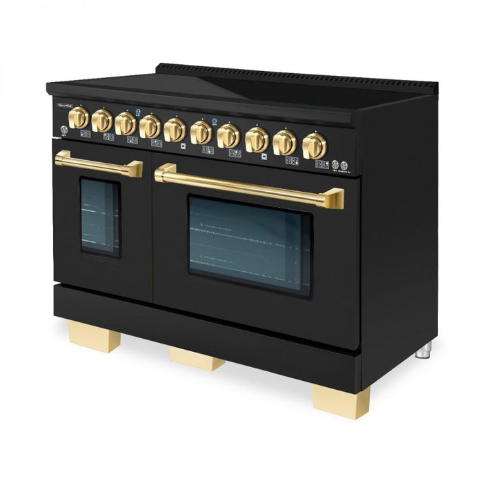 HALLMAN Bold Series 48-inch Induction Range with Brass Trim - HBIR48BS