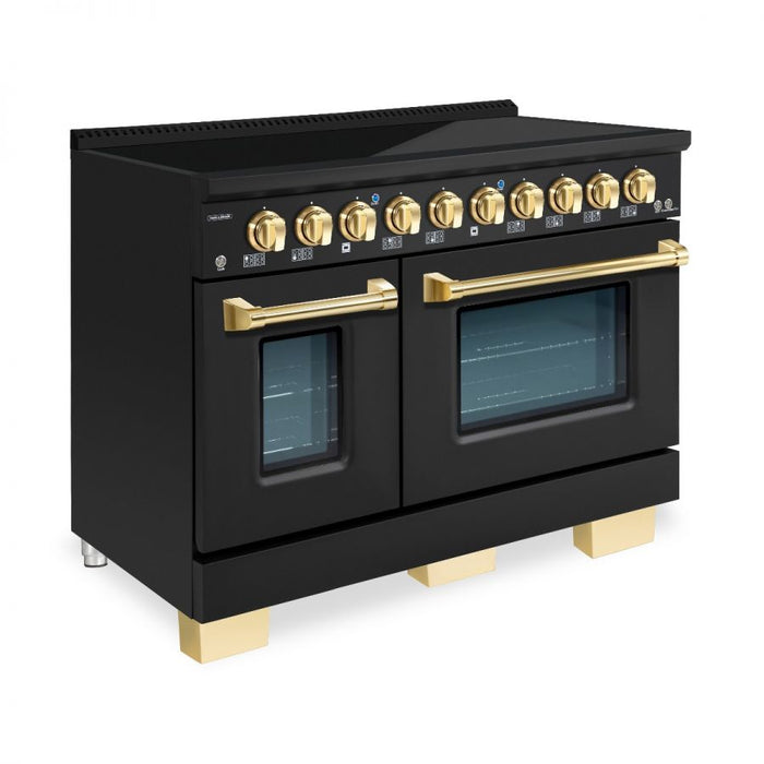 HALLMAN Bold Series 48-inch Induction Range with Brass Trim - HBIR48BS