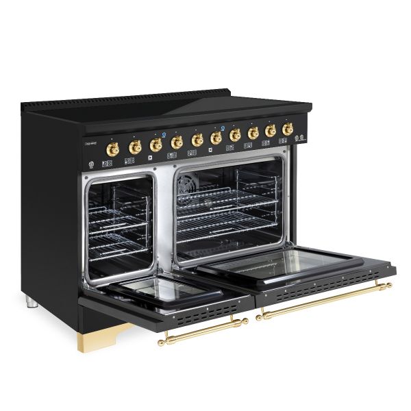 HALLMAN Classico 48-inch Induction Range with Brass Trim - HCLIR48BS